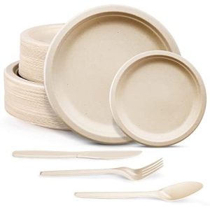 Compostable plates-2